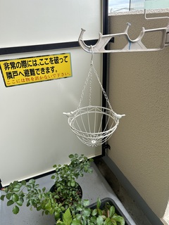 IMG_3285.jpeg